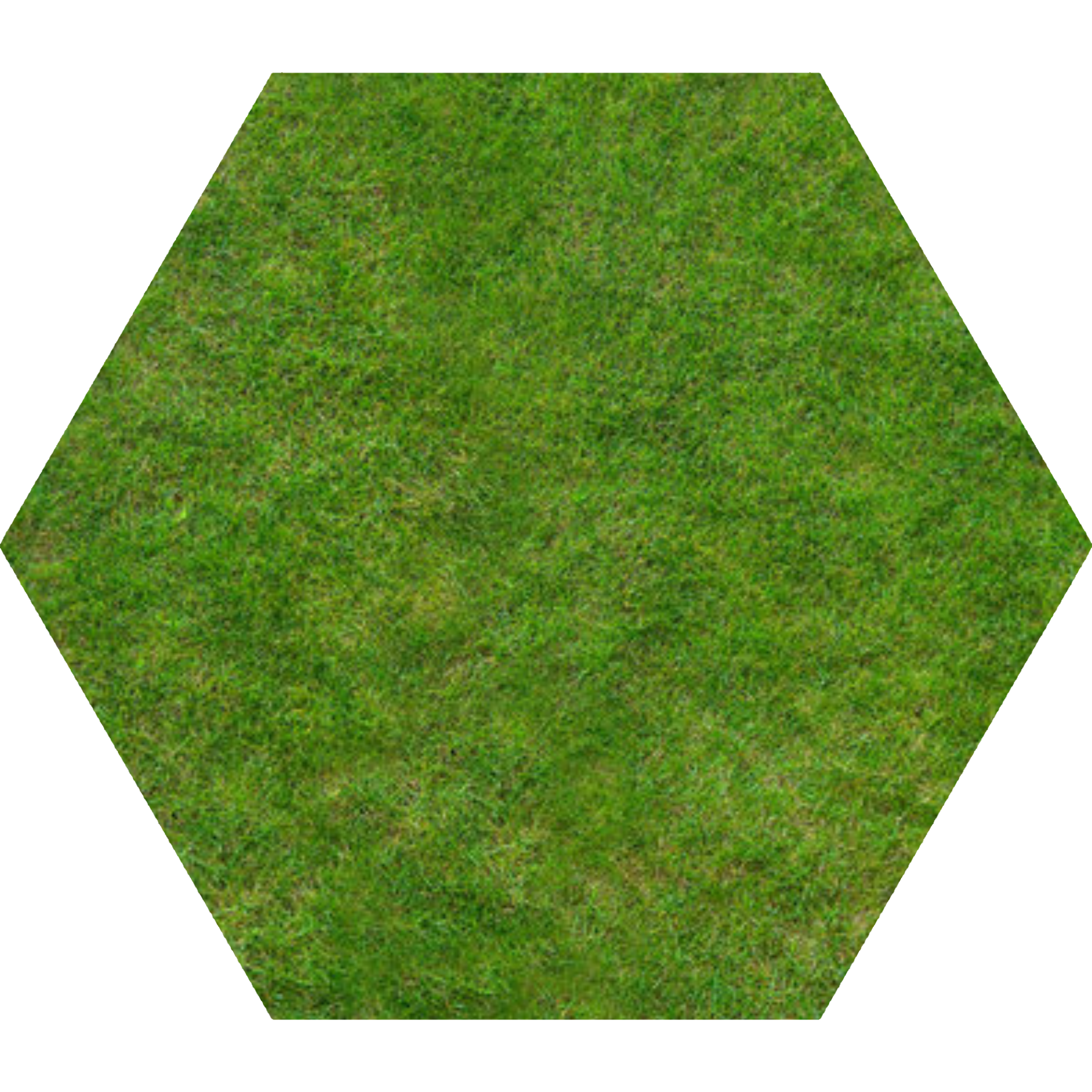 Grass