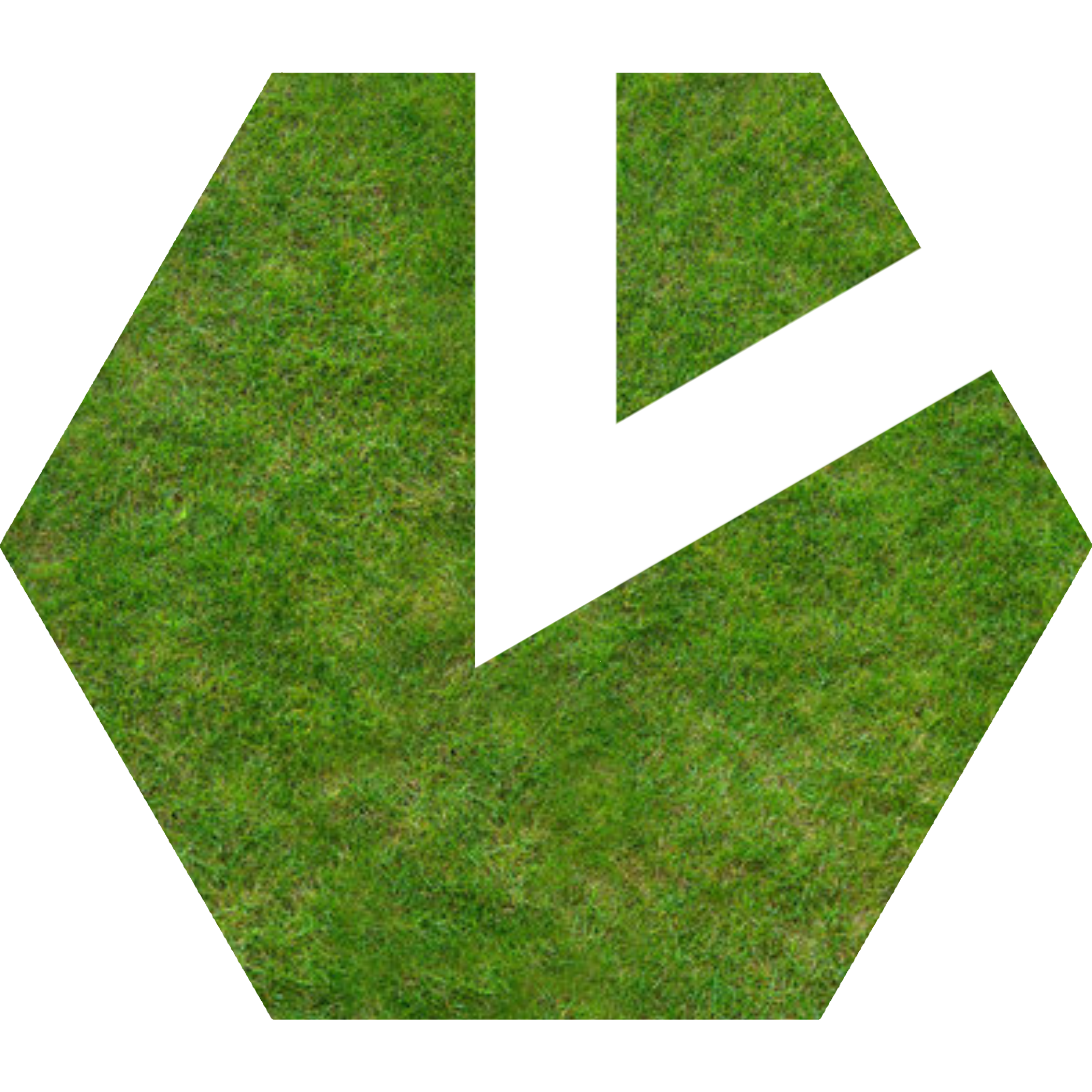Grass1