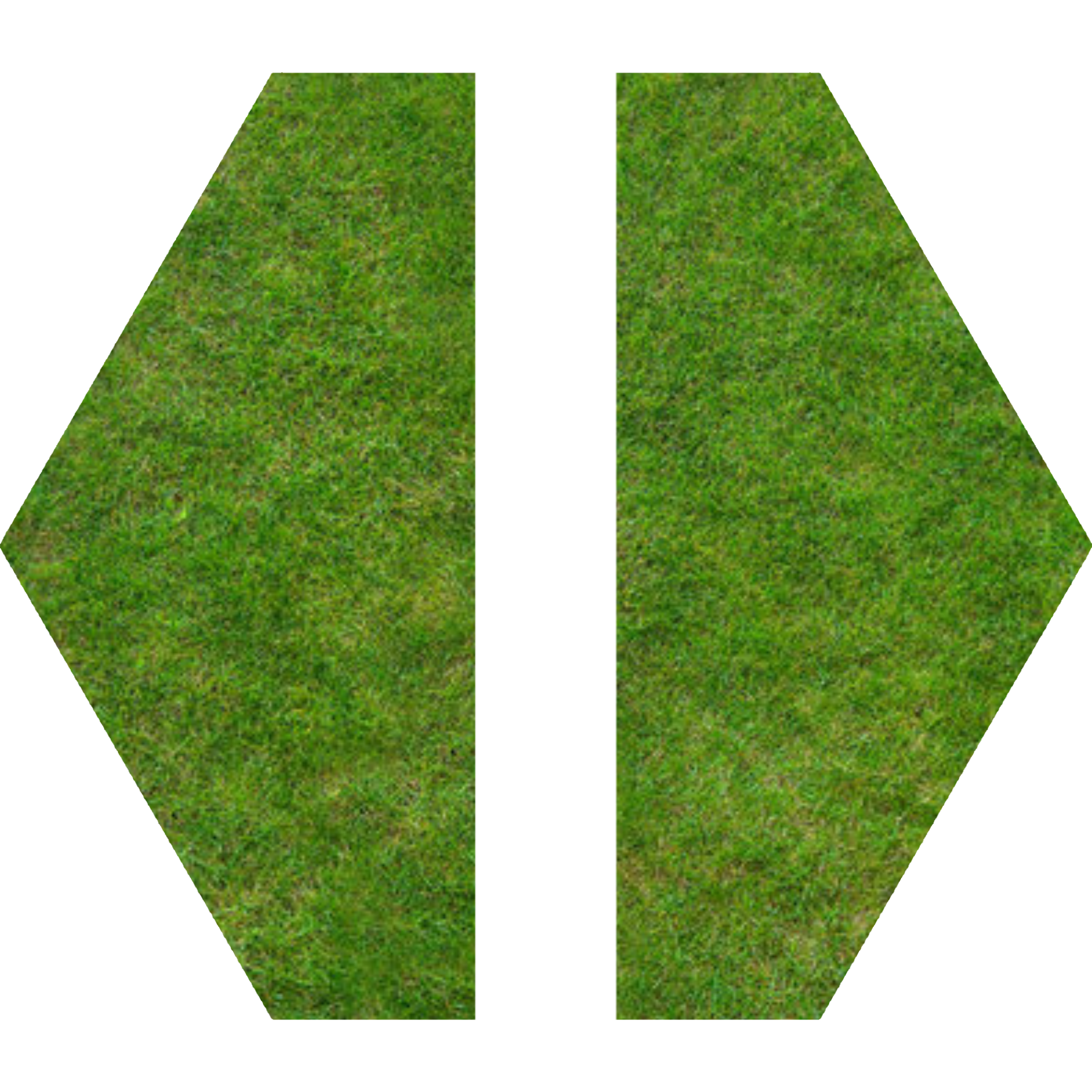 Grass2