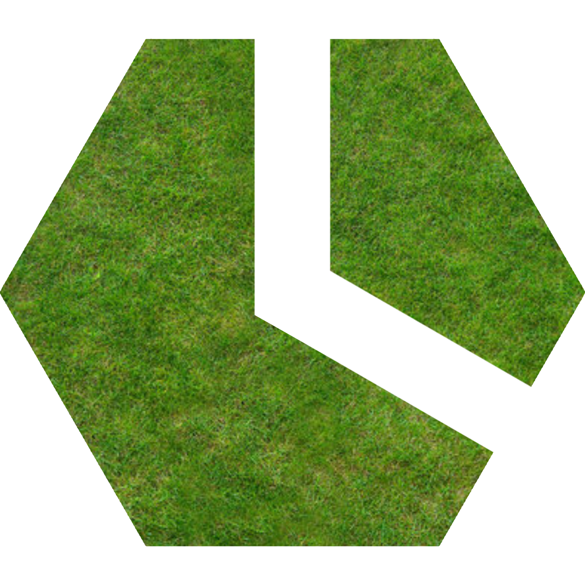 Grass3